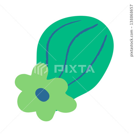 Zucchini With Blossom Cartoon Zucchini With Blossom Cartoon 138868657