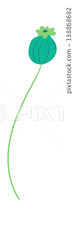 Poppy Seed Pod On Stem Cartoon 138868682
