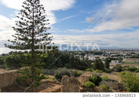 Tunisia, Carthage Ruins, Byrsa Hill 138868813