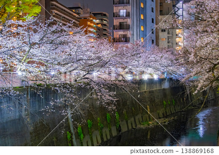 東京神田川沿岸的櫻花夜景十分美麗,盛開的櫻花樹與周圍的摩天大樓交相輝映。 東京神田川沿岸的櫻花夜景十分美麗,盛開的櫻花樹與周圍的摩天大樓交相輝映。 138869168