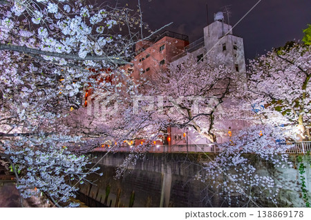 A beautiful night view of cherry blossoms along the Kanda River in Tokyo, where cherry trees in full bloom intertwine with the surrounding skyscrapers. 138869178