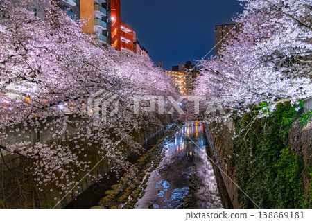 A beautiful night view of cherry blossoms along the Kanda River in Tokyo, where cherry trees in full bloom intertwine with the surrounding skyscrapers. A beautiful night view of cherry blossoms along the Kanda River in Tokyo, where cherry trees in full bloom intertwine with the surrounding skyscrapers. 138869181