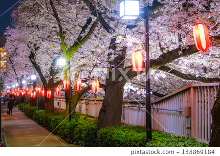 Cherry blossoms at night along the Kanda River in Shinjuku Ward, Tokyo, illuminated by red lanterns. Cherry blossoms at night along the Kanda River in Shinjuku Ward, Tokyo, illuminated by red lanterns. 138869184