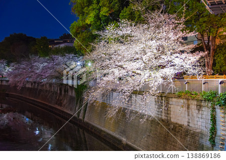 Illuminated cherry blossoms at night, their branches extending over the Kanda River, as seen from Edogawabashi in Bunkyo Ward, Tokyo. 138869186