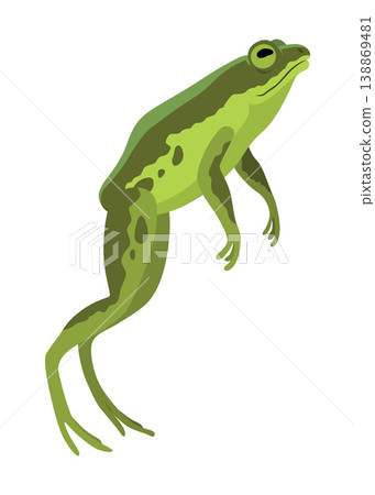 Frog jumping animation icon. Sequences or footage for motion design. Cartoon toad jumping, animal movement concept. Frog leap sequence, vector illustration Frog jumping animation icon. Sequences or footage for motion design. Cartoon toad jumping, animal movement concept. Frog leap sequence, vector illustration 138869481