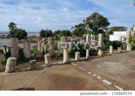 突尼斯，迦太基遺址，比爾薩山 138869554