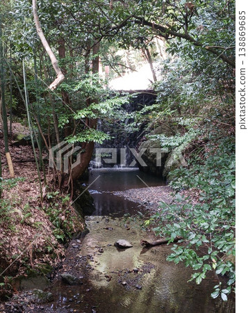 A natural waterfall and clear stream surrounded by a bamboo grove and covered in moss. A natural waterfall and clear stream surrounded by a bamboo grove and covered in moss. 138869685