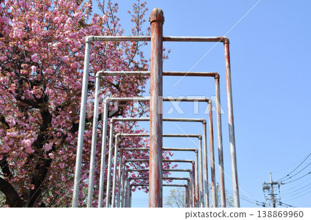 Nishino Children's Park_23 Nishino Children's Park_23 138869960