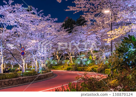夜幕降臨,東京港區東京中城櫻花街上,盛開的櫻花在燈光的映襯下熠熠生輝。 夜幕降臨,東京港區東京中城櫻花街上,盛開的櫻花在燈光的映襯下熠熠生輝。 138870124