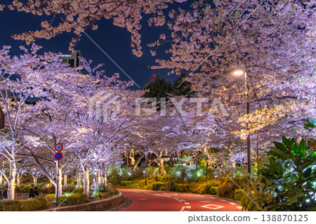 夜幕降臨，東京港區東京中城櫻花街上，盛開的櫻花在燈光的映襯下熠熠生輝。 138870125
