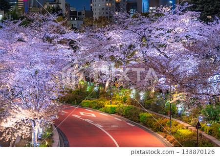 夜幕降臨，東京港區東京中城櫻花街上，盛開的櫻花在燈光的映襯下熠熠生輝。 138870126