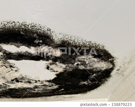 Mold damage on ceiling corner showing dark stains and spreading pattern, suitable for background Mold damage on ceiling corner showing dark stains and spreading pattern, suitable for background 138870223