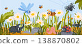 Insect background. Kid scene with bugs. Natural field scenery in grass with funny ladybug, spider, bee, worm, ant, caterpillar, dragonfly. Vector cute child insects concept 138870802