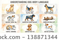 狗狗肢體語言圖解資訊圖（水彩） 138871344
