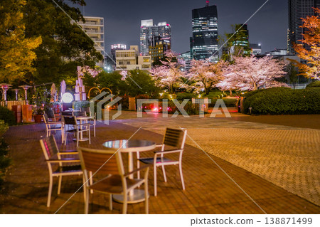 夜幕下的櫻花廣場和路燈 138871499