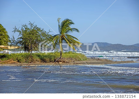 Palm tree at tropical river mouth beach Panama Palm tree at tropical river mouth beach Panama 138872154