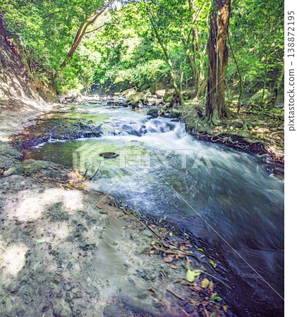 Wide jungle river scene with flowing water Panama Wide jungle river scene with flowing water Panama 138872195