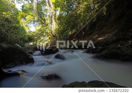 Long exposure jungle river with smooth water Panama 138872202