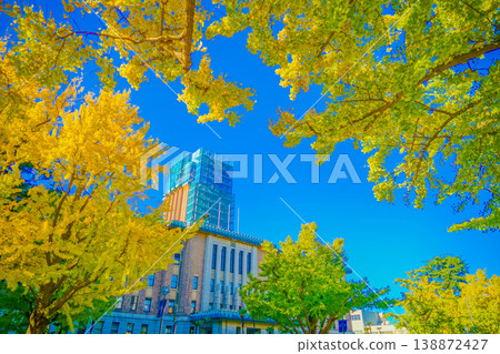 Autumn leaves on Yokohama and Nihon Odori 138872427