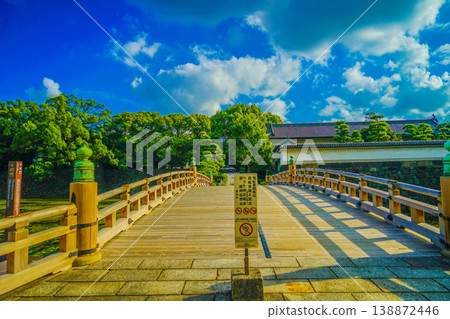 陽光下的木橋 138872446