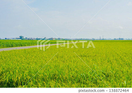 仙台平原鄉村 仙台平原鄉村 138872464