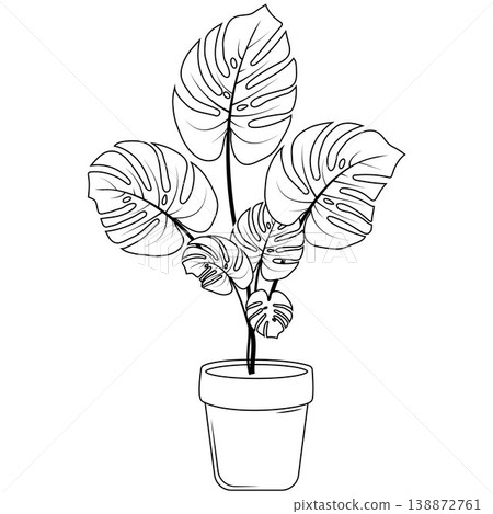 monstera leaf outline, flat vector illustration isolated on white background, black and white plant 138872761