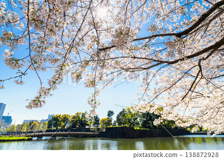 Wadakura Moat, Marunouchi, Tokyo: Cherry blossoms in full bloom 138872928