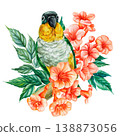 front facing tropical parrot watercolor clipart with peach blossoms and leafy branches isolated on light background 138873056
