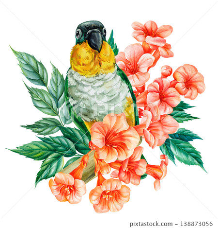 front facing tropical parrot watercolor clipart with peach blossoms and leafy branches isolated on light background front facing tropical parrot watercolor clipart with peach blossoms and leafy branches isolated on light background 138873056
