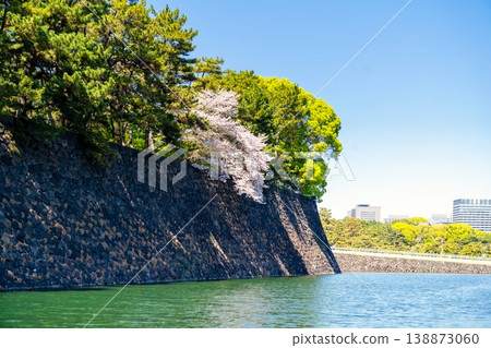 盛開的櫻花靜靜地佇立在皇宮前的二重橋前。 138873060