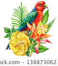 red parrot watercolor clipart with yellow hibiscus and heliconia flowers isolated for vibrant tropical botanical decor 138873062