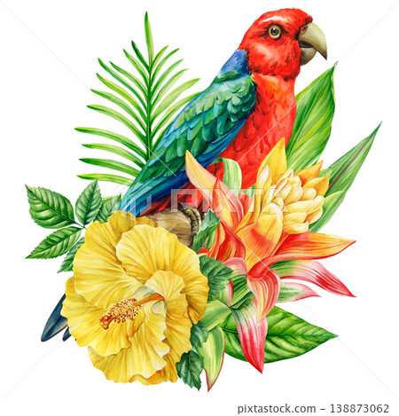red parrot watercolor clipart with yellow hibiscus and heliconia flowers isolated for vibrant tropical botanical decor red parrot watercolor clipart with yellow hibiscus and heliconia flowers isolated for vibrant tropical botanical decor 138873062
