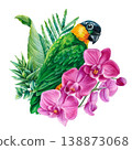 tropical parrot with pink orchids watercolor clipart isolated on light background with lush green leaves for exotic decor 138873068