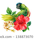 rosella parrot watercolor clipart with red hibiscus and green leaves isolated on light background for tropical decor 138873070