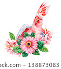 pink cockatoo watercolor clipart with gerbera and cherry blossoms isolated on light background for romantic floral decor 138873083