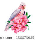 rose breasted cockatoo watercolor clipart with pink oleander flowers isolated on light background for tropical design 138873085