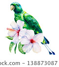 emerald parrot watercolor clipart with white hibiscus and tropical leaves isolated on light background for exotic decor 138873087