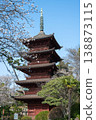 The five-story pagoda of Hokkeji Temple and cherry blossoms in full bloom, Chiba Prefecture 138873115