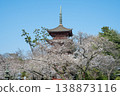 The five-story pagoda of Hokkeji Temple and cherry blossoms in full bloom, Chiba Prefecture 138873116