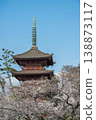The five-story pagoda of Hokkeji Temple and cherry blossoms in full bloom, Chiba Prefecture 138873117