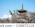 The five-story pagoda of Hokkeji Temple and cherry blossoms in full bloom, Chiba Prefecture 138873118