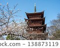 The five-story pagoda of Hokkeji Temple and cherry blossoms in full bloom, Chiba Prefecture 138873119