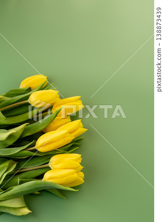 fresh yellow tulips floral spring composition with copy space fresh yellow tulips floral spring composition with copy space 138873439