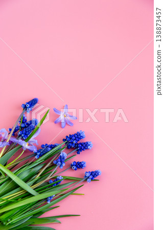 delicate blue spring flowers on soft pink pastel background with copy space delicate blue spring flowers on soft pink pastel background with copy space 138873457