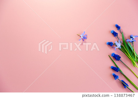 simple botanical arrangement with blue flowers on pink background simple botanical arrangement with blue flowers on pink background 138873467