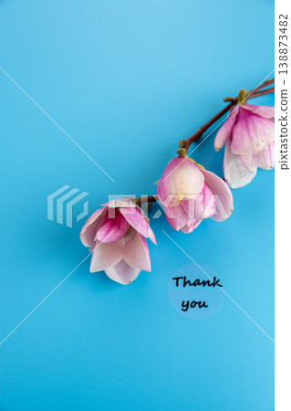 elegant floral composition with pink magnolia and thank you text elegant floral composition with pink magnolia and thank you text 138873482