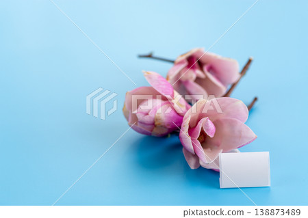pink magnolia flowers with blank card on blue background pink magnolia flowers with blank card on blue background 138873489