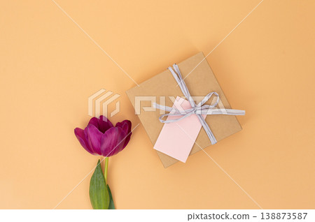 Pink tulip with gift box on peach background highlighting elegant minimalism Pink tulip with gift box on peach background highlighting elegant minimalism 138873587