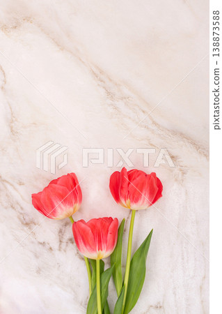 Three vibrant red tulips on marble surface Three vibrant red tulips on marble surface 138873588