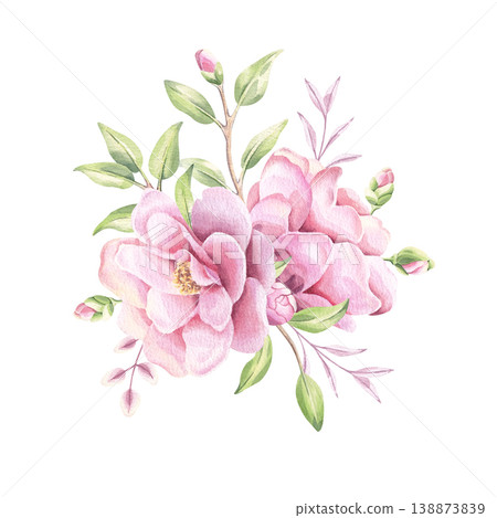 Watercolor camellia pink blooming flowers with green branches illustration isolated on white background. Delicate floral arrangement 138873839